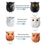 Owl Key Holder