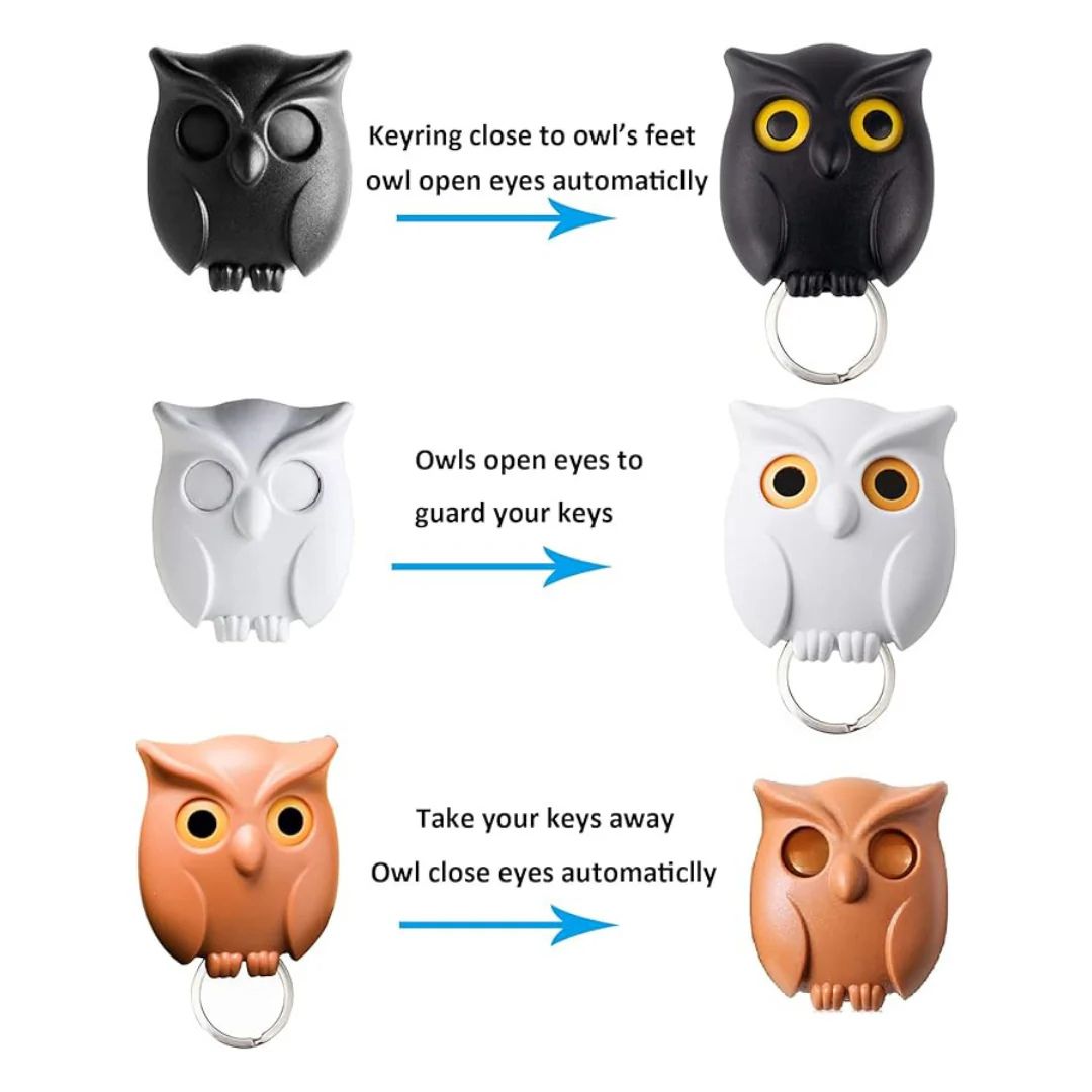 Owl Key Holder