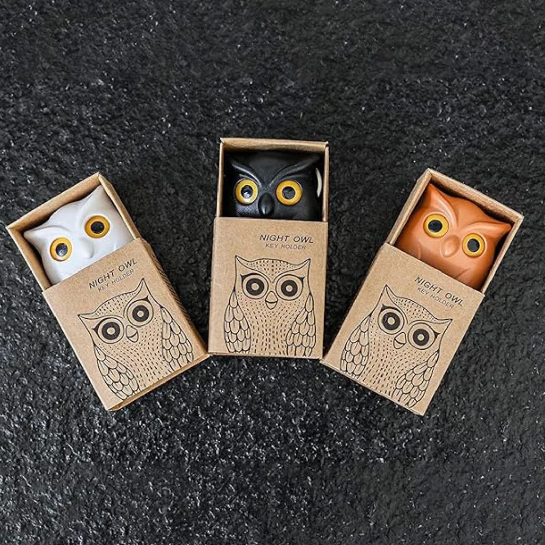 Owl Key Holder