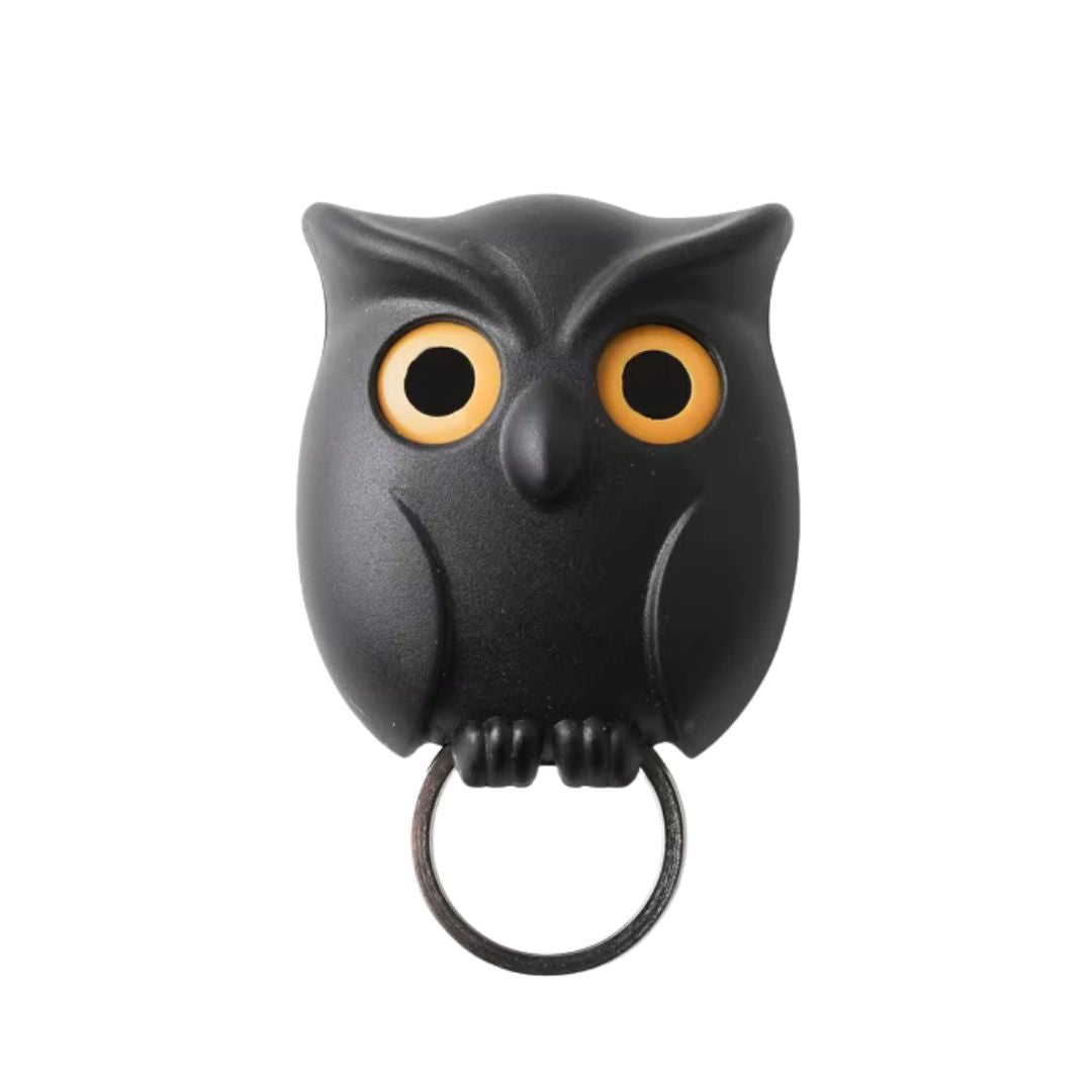 Owl Key Holder